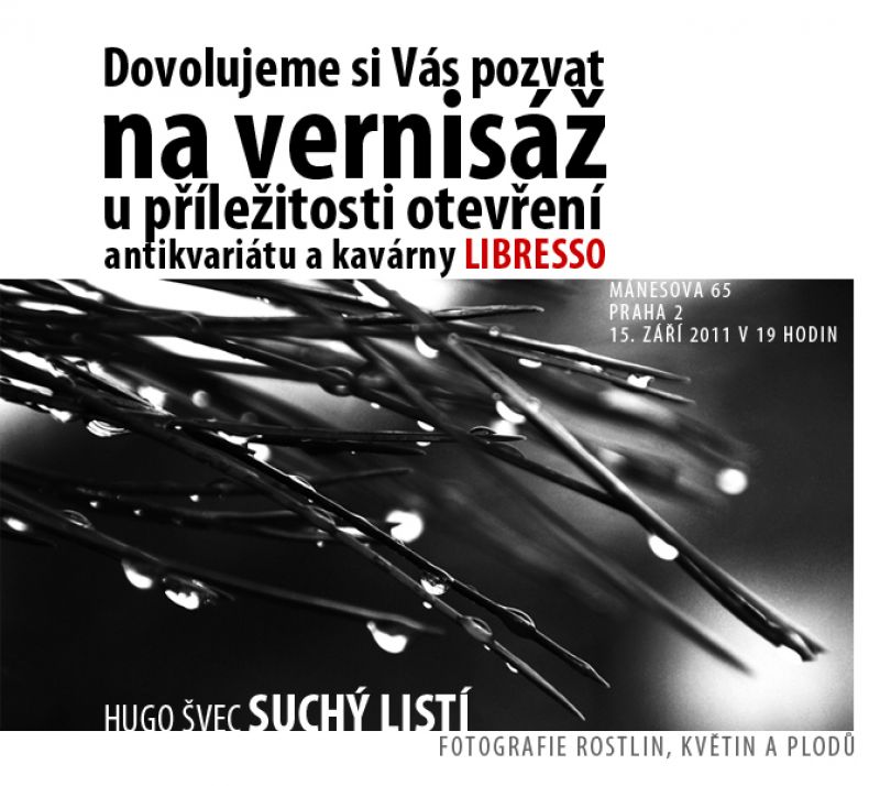 pozvánka pozvanka